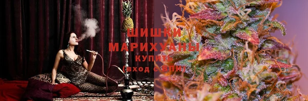дмт Магас