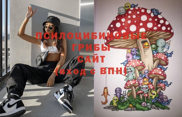 эйфоретик Майский