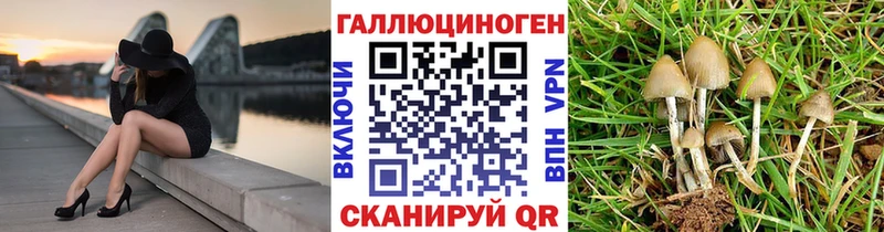 MEGA вход  Ужур  Псилоцибиновые грибы Magic Shrooms 
